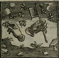 Picture 202 of 256 from Emblemata v. cl. Andreae Alciati : cu imaginibus plerisque restitutis ad mentem auctoris (1618), leaf 326