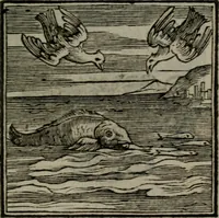 Picture 208 of 256 from Emblemata v. cl. Andreae Alciati : cu imaginibus plerisque restitutis ad mentem auctoris (1618), leaf 336