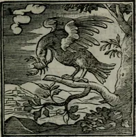 Picture 211 of 256 from Emblemata v. cl. Andreae Alciati : cu imaginibus plerisque restitutis ad mentem auctoris (1618), leaf 342