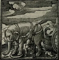 An illustration from Emblemata v. cl. Andreae Alciati : cu imaginibus plerisque restitutis ad mentem auctoris (1618)