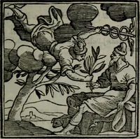 An illustration from Emblemata v. cl. Andreae Alciati : cu imaginibus plerisque restitutis ad mentem auctoris (1618)