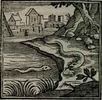 An illustration from Emblemata v. cl. Andreae Alciati : cu imaginibus plerisque restitutis ad mentem auctoris (1618)