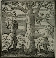 An illustration from Emblemata v. cl. Andreae Alciati : cu imaginibus plerisque restitutis ad mentem auctoris (1618)
