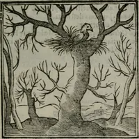 An illustration from Emblemata v. cl. Andreae Alciati : cu imaginibus plerisque restitutis ad mentem auctoris (1618)