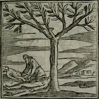 An illustration from Emblemata v. cl. Andreae Alciati : cu imaginibus plerisque restitutis ad mentem auctoris (1618)