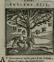 Picture 247 of 256 from Emblemata v. cl. Andreae Alciati : cu imaginibus plerisque restitutis ad mentem auctoris (1618), leaf 398