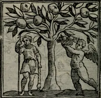 An illustration from Emblemata v. cl. Andreae Alciati : cu imaginibus plerisque restitutis ad mentem auctoris (1618)