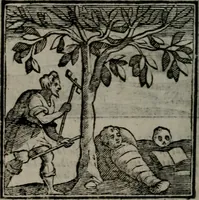 An illustration from Emblemata v. cl. Andreae Alciati : cu imaginibus plerisque restitutis ad mentem auctoris (1618)