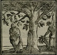An illustration from Emblemata v. cl. Andreae Alciati : cu imaginibus plerisque restitutis ad mentem auctoris (1618)