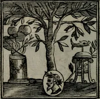 An illustration from Emblemata v. cl. Andreae Alciati : cu imaginibus plerisque restitutis ad mentem auctoris (1618)