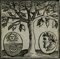 An illustration from Emblemata v. cl. Andreae Alciati : cu imaginibus plerisque restitutis ad mentem auctoris (1618)