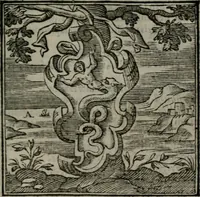 An illustration from Emblemata v. cl. Andreae Alciati : cu imaginibus plerisque restitutis ad mentem auctoris (1618)