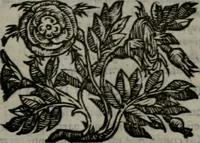 An illustration from Emblemata v. cl. Andreae Alciati : cu imaginibus plerisque restitutis ad mentem auctoris (1618)