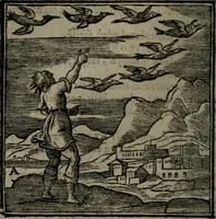 Picture 29 of 256 from Emblemata v. cl. Andreae Alciati : cu imaginibus plerisque restitutis ad mentem auctoris (1618), leaf 87