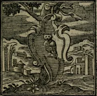 Picture 31 of 256 from Emblemata v. cl. Andreae Alciati : cu imaginibus plerisque restitutis ad mentem auctoris (1618), leaf 90