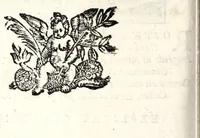 Picture 10 of 38 from Emblemata v. cl. Andreae Alciati : cu[m] imaginibus plerisque restitutis ad mentem auctoris (1618), leaf 148
