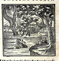 Picture 16 of 38 from Emblemata v. cl. Andreae Alciati : cu[m] imaginibus plerisque restitutis ad mentem auctoris (1618), leaf 208
