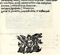 Picture 24 of 38 from Emblemata v. cl. Andreae Alciati : cu[m] imaginibus plerisque restitutis ad mentem auctoris (1618), leaf 291