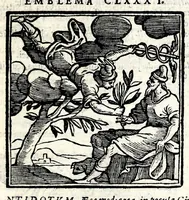 Picture 33 of 38 from Emblemata v. cl. Andreae Alciati : cu[m] imaginibus plerisque restitutis ad mentem auctoris (1618), leaf 381