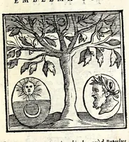 Picture 38 of 38 from Emblemata v. cl. Andreae Alciati : cu[m] imaginibus plerisque restitutis ad mentem auctoris (1618), leaf 431