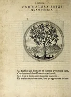 Picture 29 of 39 from Emblematum ethico-politicorum centuria Iulii Guilielmi Zincgrefii (1624), leaf 172