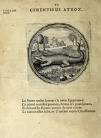Picture 3 of 39 from Emblematum ethico-politicorum centuria Iulii Guilielmi Zincgrefii (1624), leaf 32