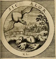 Picture 47 of 121 from Emblematum sacrorum prima[-secunda] pars : das ist, fünfftzig geistlicher in Kupffer gestochener Emblematum ausz der H. Schrifft von dem süssen Namen vnd Creutz Jesu Christi, erster[-ander] Theyl (1624), leaf 178