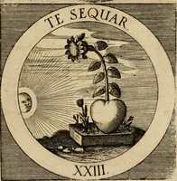 Picture 89 of 121 from Emblematum sacrorum prima[-secunda] pars : das ist, fünfftzig geistlicher in Kupffer gestochener Emblematum ausz der H. Schrifft von dem süssen Namen vnd Creutz Jesu Christi, erster[-ander] Theyl (1624), leaf 330
