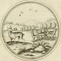 Picture 48 of 108 from Symbolorvm & emblematvm ex animalibvs qvadrvpedibvs desvmtorvm centvria altera (1595), leaf 104