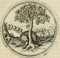 An illustration from Symbolorvm & emblematvm ex animalibvs qvadrvpedibvs desvmtorvm centvria altera (1595)
