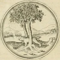 An illustration from Symbolorvm & emblematvm ex animalibvs qvadrvpedibvs desvmtorvm centvria altera (1595)