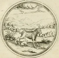 An illustration from Symbolorvm & emblematvm ex animalibvs qvadrvpedibvs desvmtorvm centvria altera (1595)