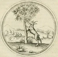 Picture 72 of 108 from Symbolorvm & emblematvm ex animalibvs qvadrvpedibvs desvmtorvm centvria altera (1595), leaf 150