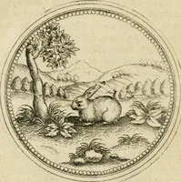 An illustration from Symbolorvm & emblematvm ex animalibvs qvadrvpedibvs desvmtorvm centvria altera (1595)