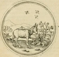 An illustration from Symbolorvm & emblematvm ex animalibvs qvadrvpedibvs desvmtorvm centvria altera (1595)