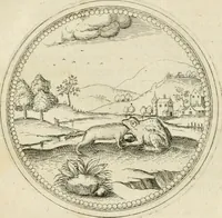 Picture 86 of 108 from Symbolorvm & emblematvm ex animalibvs qvadrvpedibvs desvmtorvm centvria altera (1595), leaf 176