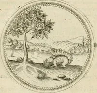 An illustration from Symbolorvm & emblematvm ex animalibvs qvadrvpedibvs desvmtorvm centvria altera (1595)