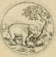 An illustration from Symbolorvm & emblematvm ex animalibvs qvadrvpedibvs desvmtorvm centvria altera (1595)