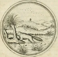 Picture 104 of 108 from Symbolorvm & emblematvm ex animalibvs qvadrvpedibvs desvmtorvm centvria altera (1595), leaf 208