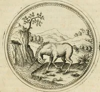 An illustration from Symbolorvm & emblematvm ex animalibvs qvadrvpedibvs desvmtorvm centvria altera (1595)