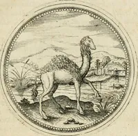 An illustration from Symbolorvm & emblematvm ex animalibvs qvadrvpedibvs desvmtorvm centvria altera (1595)