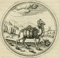 Picture 20 of 108 from Symbolorvm & emblematvm ex animalibvs qvadrvpedibvs desvmtorvm centvria altera (1595), leaf 50