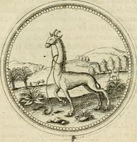An illustration from Symbolorvm & emblematvm ex animalibvs qvadrvpedibvs desvmtorvm centvria altera (1595)