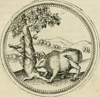 An illustration from Symbolorvm & emblematvm ex animalibvs qvadrvpedibvs desvmtorvm centvria altera (1595)