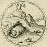 Picture 23 of 108 from Symbolorvm & emblematvm ex animalibvs qvadrvpedibvs desvmtorvm centvria altera (1595), leaf 56