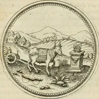 Picture 27 of 108 from Symbolorvm & emblematvm ex animalibvs qvadrvpedibvs desvmtorvm centvria altera (1595), leaf 64
