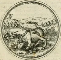 An illustration from Symbolorvm & emblematvm ex animalibvs qvadrvpedibvs desvmtorvm centvria altera (1595)