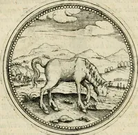 An illustration from Symbolorvm & emblematvm ex animalibvs qvadrvpedibvs desvmtorvm centvria altera (1595)