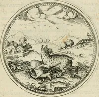 An illustration from Symbolorvm & emblematvm ex animalibvs qvadrvpedibvs desvmtorvm centvria altera (1595)