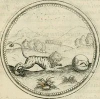 An illustration from Symbolorvm & emblematvm ex animalibvs qvadrvpedibvs desvmtorvm centvria altera (1595)